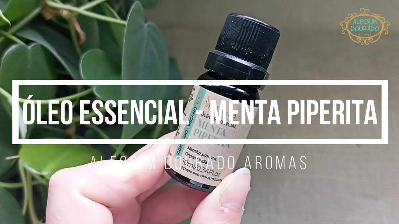 Explorando os Aromas Refrescantes da Menta