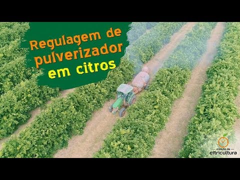 Dicas de Segurança para Usar Atomizadores com Eficiência